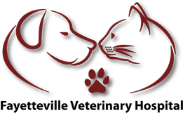 Fayetteville Veterinary Hospital Home